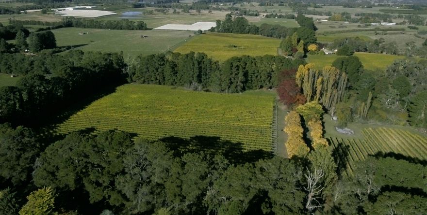 Brangayne aerial Halliday - Caroline Mackenzie